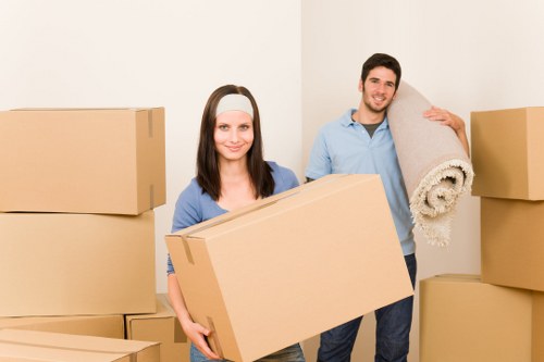 Packing boxes and moving support for household items