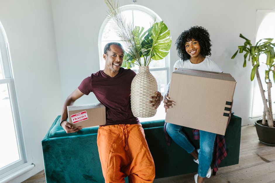 A man and a woman during a home relocation process inside a well-lit room with white walls and large windows. The man, casually dressed in a maroon t-shirt and orange trousers, is holding a cardboard box labeled 'fragile' in his left hand and a large, woven vase with green tropical leaves in his right hand. The woman, dressed in a white top and blue jeans, is sitting on a dark green sofa and is carrying a large cardboard box. The room features light wooden flooring, a potted plant on the right side, and natural daylight streaming through the windows, illustrating the packing and moving activities associated with house removals, carried out by companies like Removal Company Harringay.