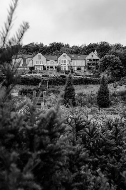 A row of residential houses situated on a hillside viewed from a lower garden area, with dense foliage and trees in the foreground. The houses are multi-storey, with some featuring large windows, balconies, and pitched roofs, and appear to be part of a suburban estate. The image is in black and white, capturing the scene during daylight hours under overcast skies. This setting illustrates a typical residential area where a home relocation or moving company like Removal Company Harringay might operate, especially when coordinating the logistics of furniture transport and loading processes for house removals. The presence of greenery and outdoor stairs suggests access points for moving services handling packing and moving, especially in locations requiring careful planning of stairs and access routes for furniture and boxes. The overall scene reflects a peaceful suburban environment with ample space for residential moving activities.